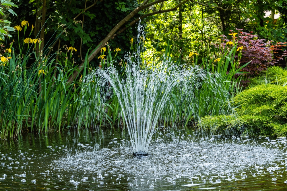 Pond fountain with nighttime lighting