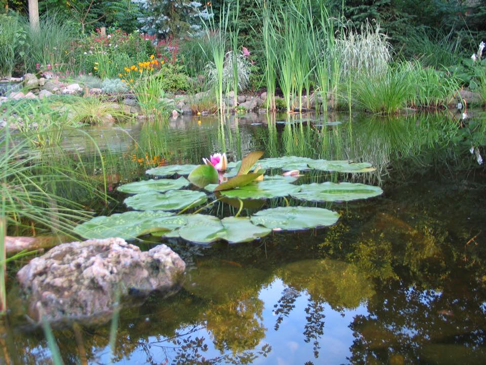 516383446_24887095670880846_8105318759942117984_n