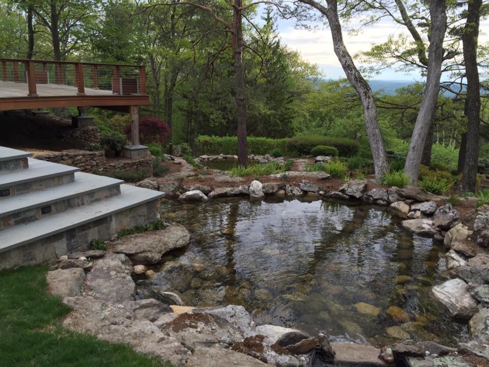516885194_24887274674196279_4407404873601552277_n Beautiful custom koi pond by Aqua Escapes
