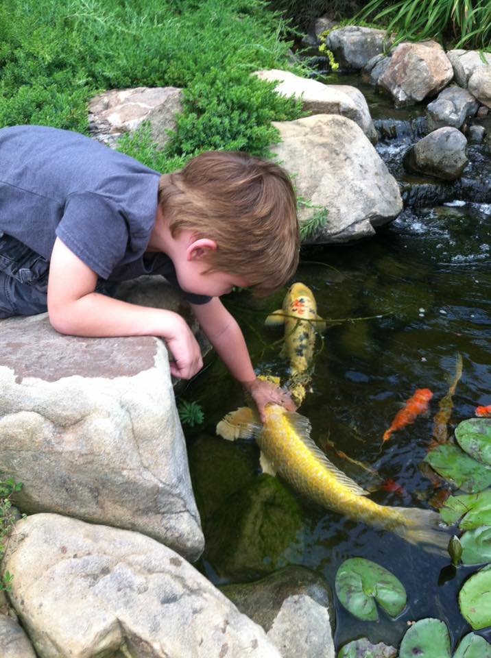 Family enjoying their beautiful backyard koi pond