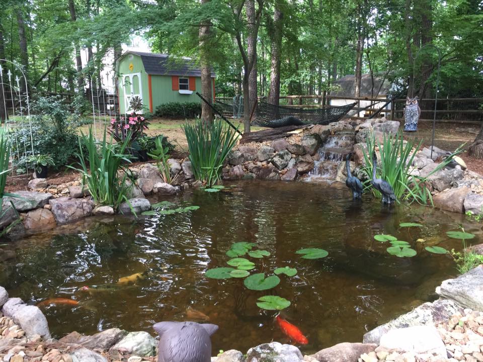 517377790_24887274510862962_3397068063822577613_n Beautiful custom koi pond by Aqua Escapes