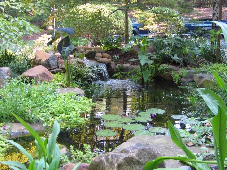 517695095_24887095764214170_4216039666829661375_n Beautiful custom koi pond by Aqua Escapes