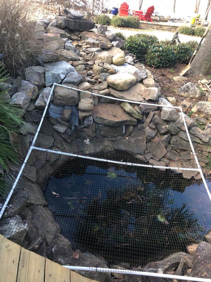 97145421_3535733463110376_7886061856744275968_n