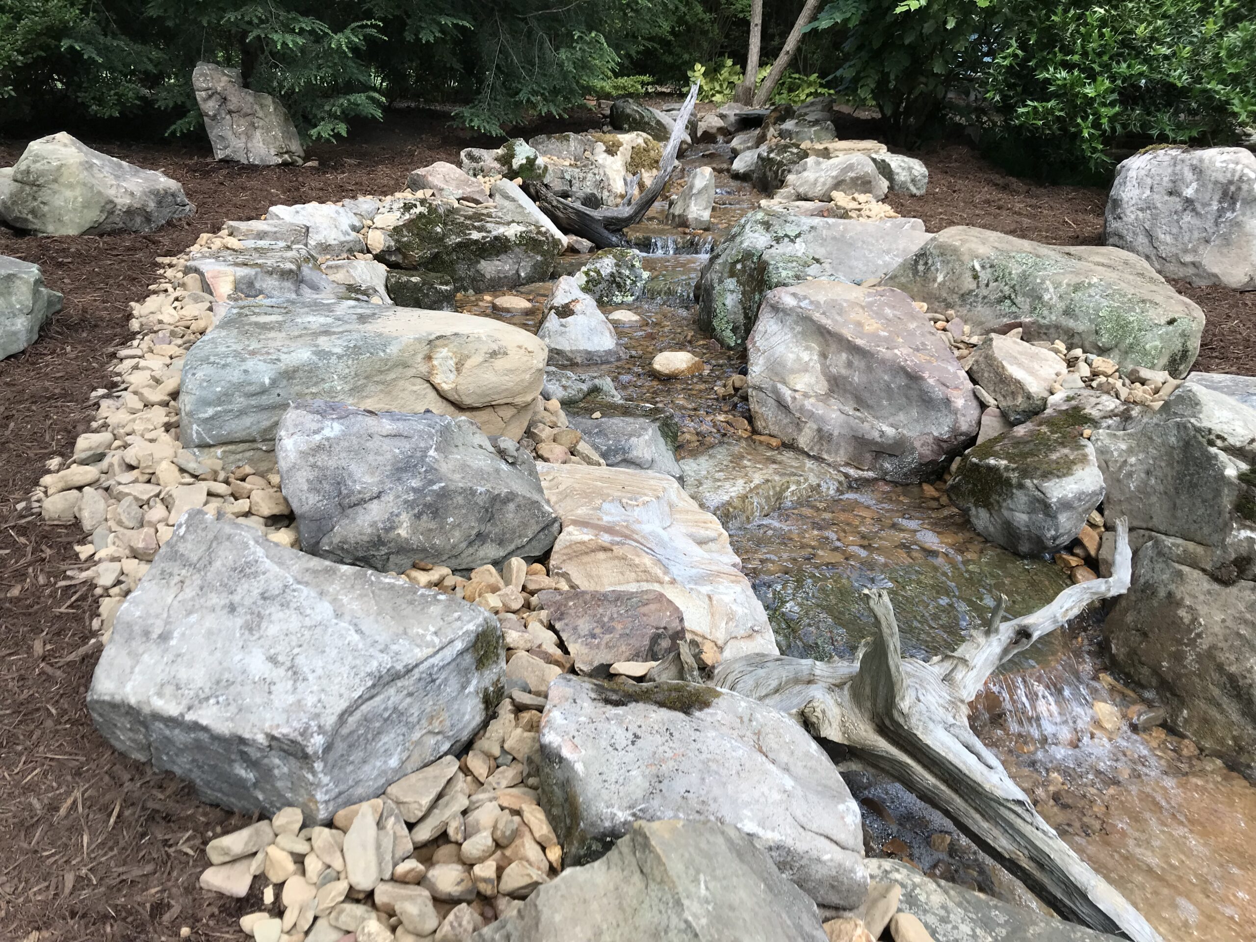 Child safely playing near a pondless stream
