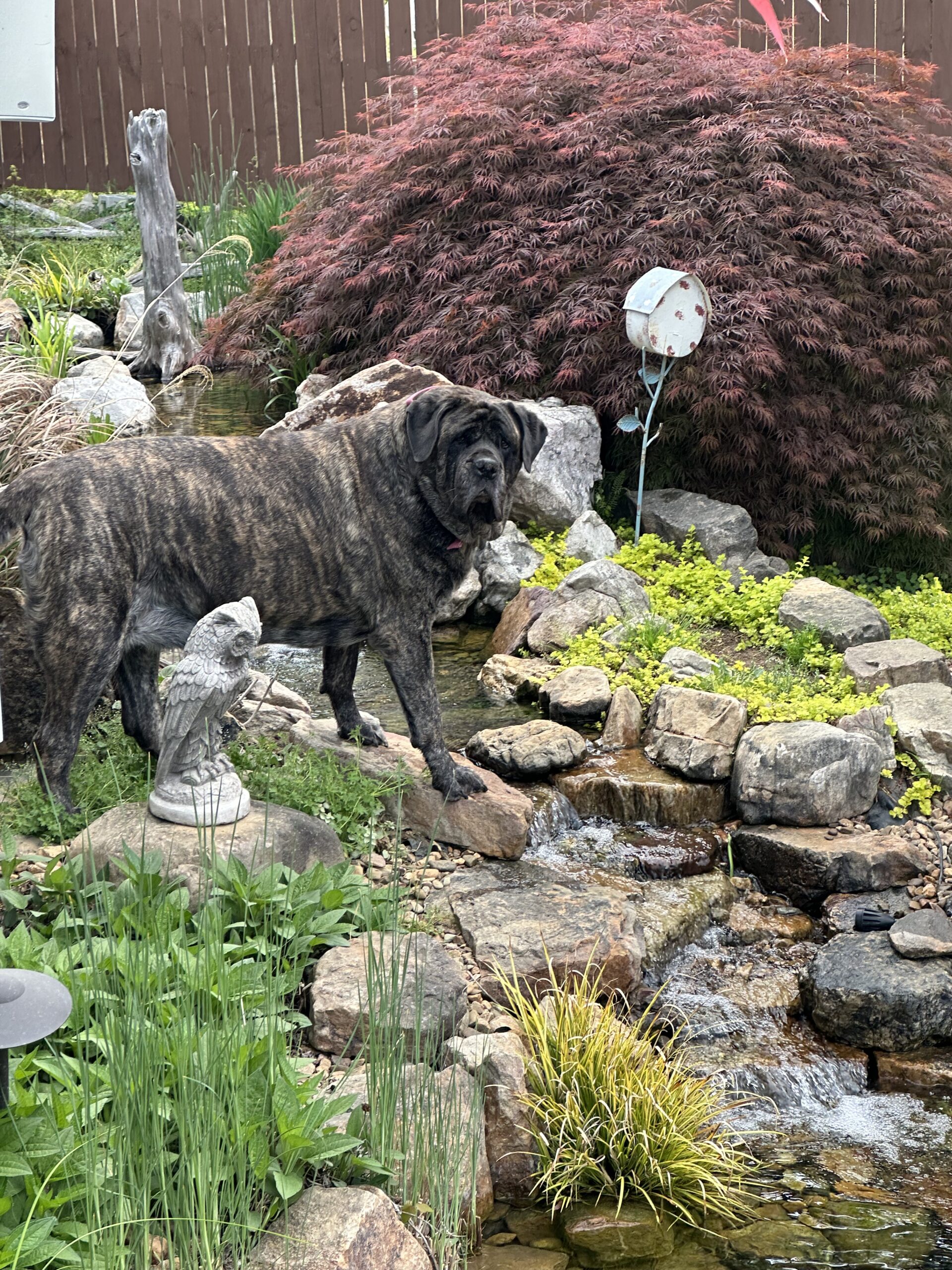 Extreme Sports Mountain Climbing