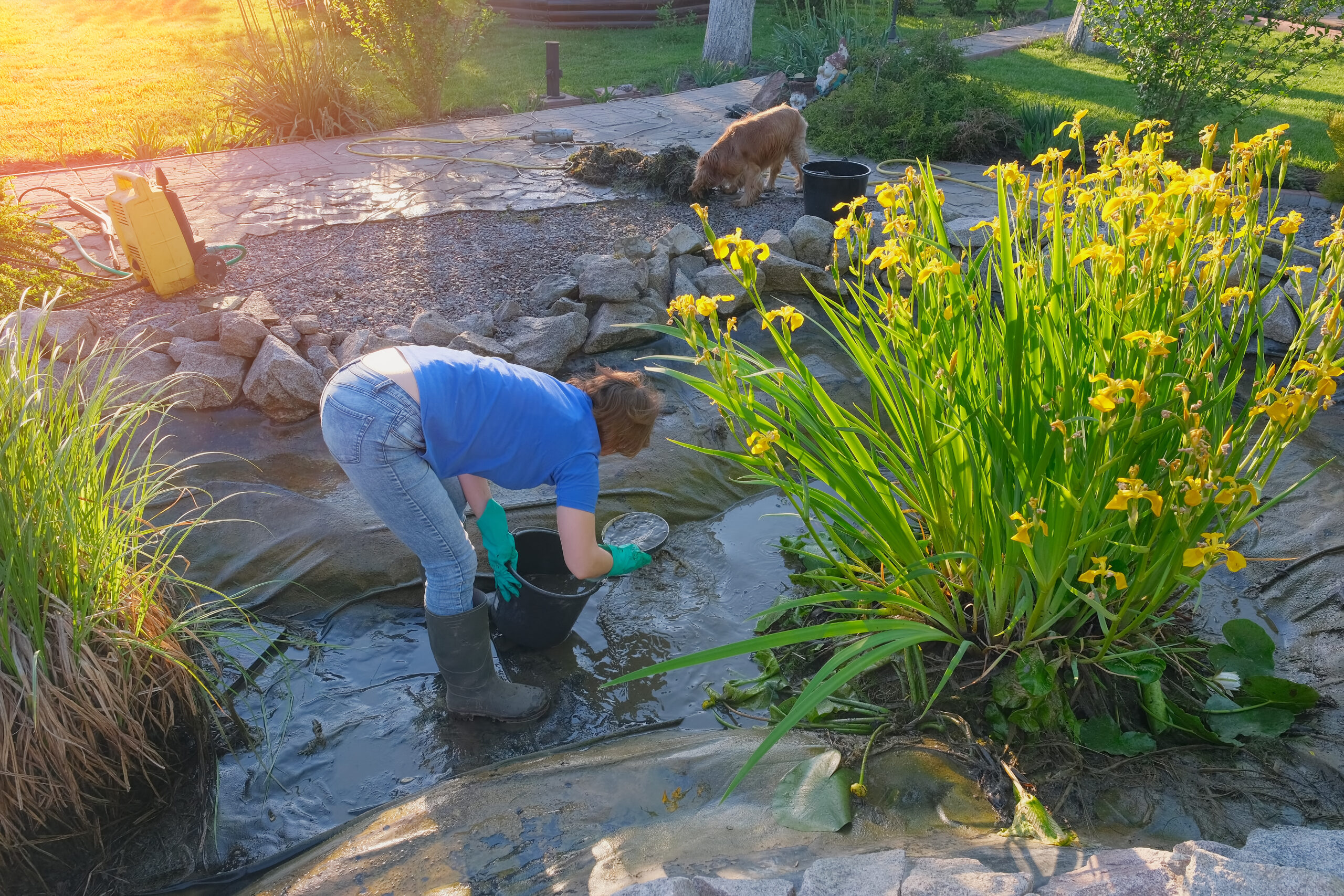 Technician finding a leak in a pond liner